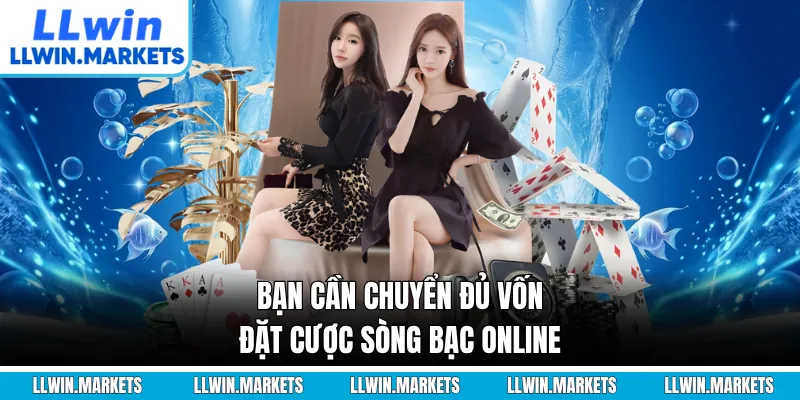 Bạn cần chuyển đủ vốn đặt cược sòng bạc online