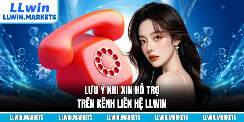 Lưu ý khi xin hỗ trợ trên kênh liên hệ LLWIN